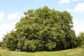  Poggio del Castagno  Питильяно